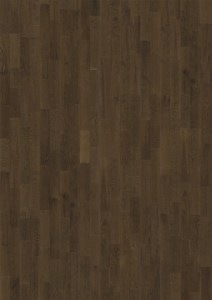 Oak Bean
